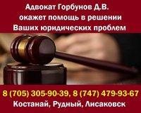 Адвокат Горбунов Д.В.